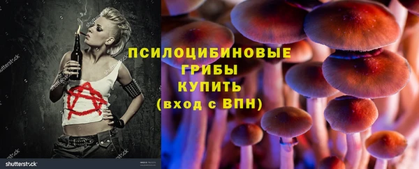 гашик Балабаново