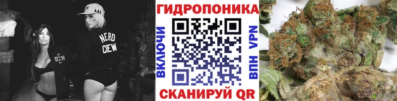 Каннабис OG Kush Лаишево
